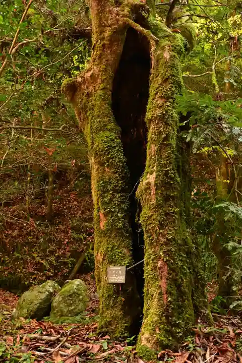 古岩屋不動尊(愛媛県)