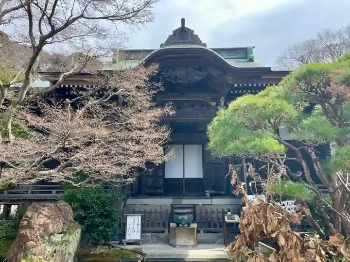 妙法寺の{uncategorized: "未分類", other: "その他", undefined: "問題あり", building: "その他建物", grave: "お墓", sacred_gate: "鳥居", guardian: "狛犬", statue: "像", buddha: "仏像", history: "歴史", nature: "自然", garden: "庭園", animal: "動物", pagoda: "塔", temizu: "手水舎", mountain_gate: "山門・神門", sanctuary: "本殿・本堂", subordinate: "末社・摂社", art: "芸術", scenery: "景色", jizo: "地蔵", ema: "絵馬", goshuin: "御朱印", omikuji: "おみくじ", items: "授与品その他", amulet: "お守り", goshuincho: "御朱印帳", eats: "食事", festival: "お祭り", votive_dance: "神楽", shichigosan: "七五三参", wedding: "結婚式", experience: "体験その他", initially: "初詣", around: "周辺", anti_infection: "感染症対策"}