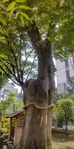 阿佐谷弁天社(東京都)