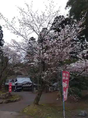 賀茂神社(福井県)