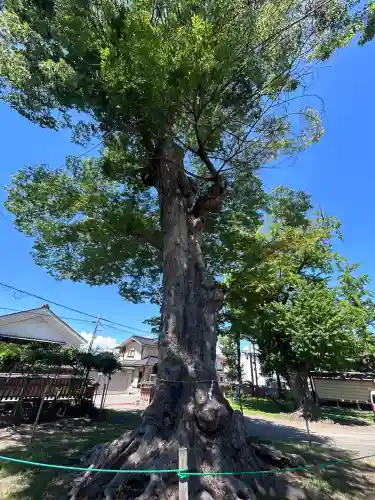 科野大宮社(長野県)