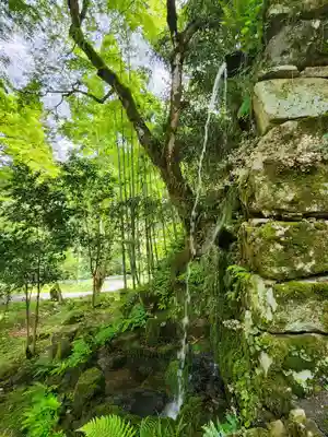 高源寺のその他建物