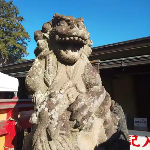 鎮守氷川神社の狛犬