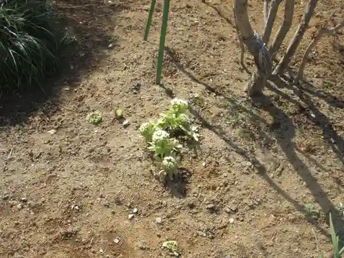 徳恩寺(神奈川県)