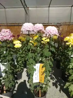 蓮池弁財天社(神奈川県)