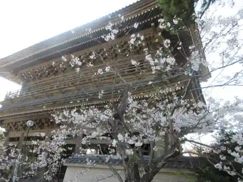 光明寺の山門・神門