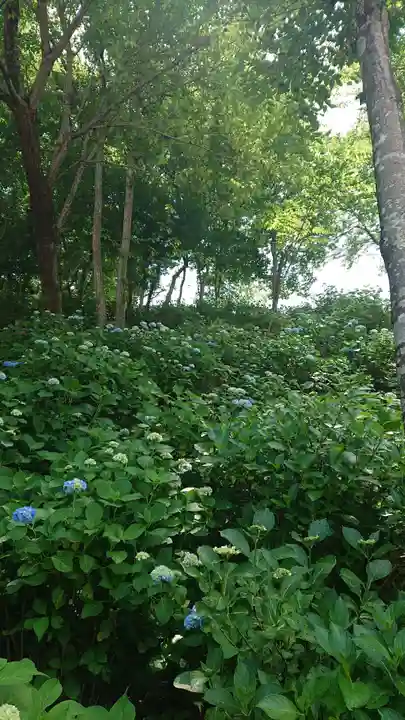 高林寺(福島県)