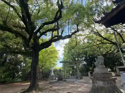 七所神社の{uncategorized: "未分類", other: "その他", undefined: "問題あり", building: "その他建物", grave: "お墓", sacred_gate: "鳥居", guardian: "狛犬", statue: "像", buddha: "仏像", history: "歴史", nature: "自然", garden: "庭園", animal: "動物", pagoda: "塔", temizu: "手水舎", mountain_gate: "山門・神門", sanctuary: "本殿・本堂", subordinate: "末社・摂社", art: "芸術", scenery: "景色", jizo: "地蔵", ema: "絵馬", goshuin: "御朱印", omikuji: "おみくじ", items: "授与品その他", amulet: "お守り", goshuincho: "御朱印帳", eats: "食事", festival: "お祭り", votive_dance: "神楽", shichigosan: "七五三参", wedding: "結婚式", experience: "体験その他", initially: "初詣", around: "周辺", anti_infection: "感染症対策"}