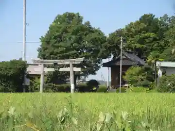 鷲神社(埼玉県)