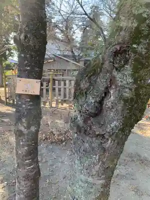 比呂佐和神社の自然