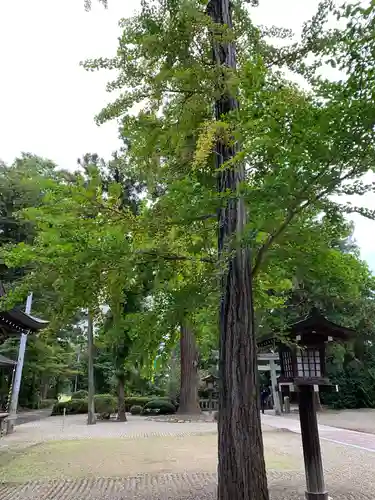 鎮守府八幡宮のその他建物