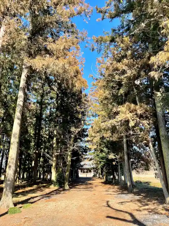 桜町二宮神社(栃木県)