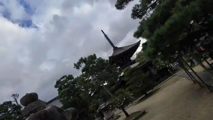 智恩寺(京都府)