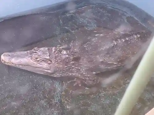 鑁阿寺(栃木県)