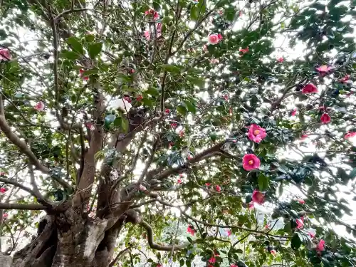 浄得寺(三重県)