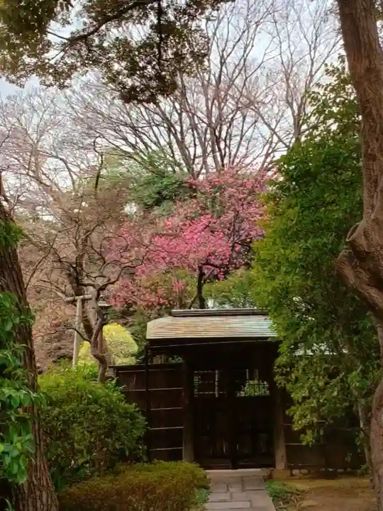 靖國神社(東京都)