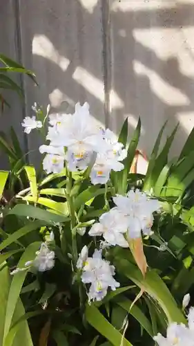 西方山極楽寺(岐阜県)