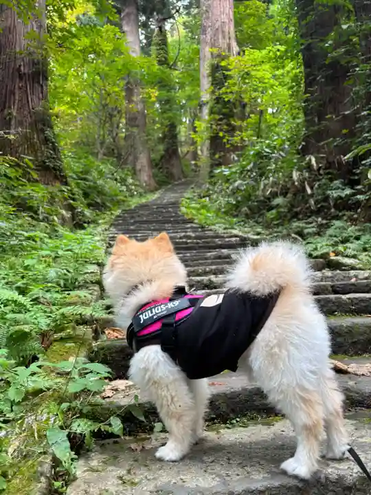 羽黒山五重塔(出羽三山神社)(山形県)