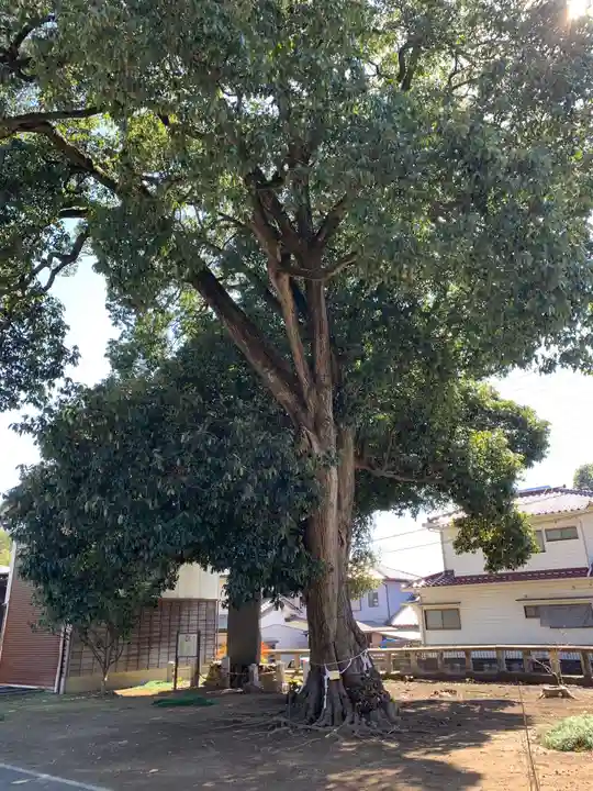 秋葉神社(埼玉県)