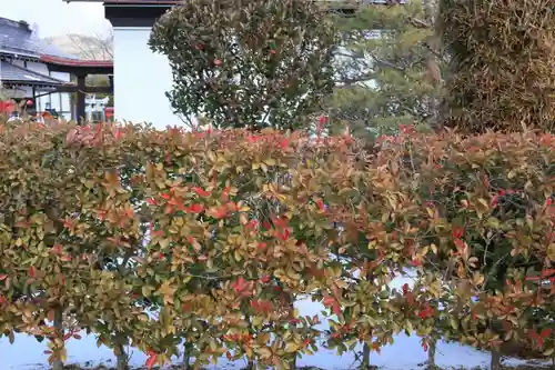 大鏑神社の庭園