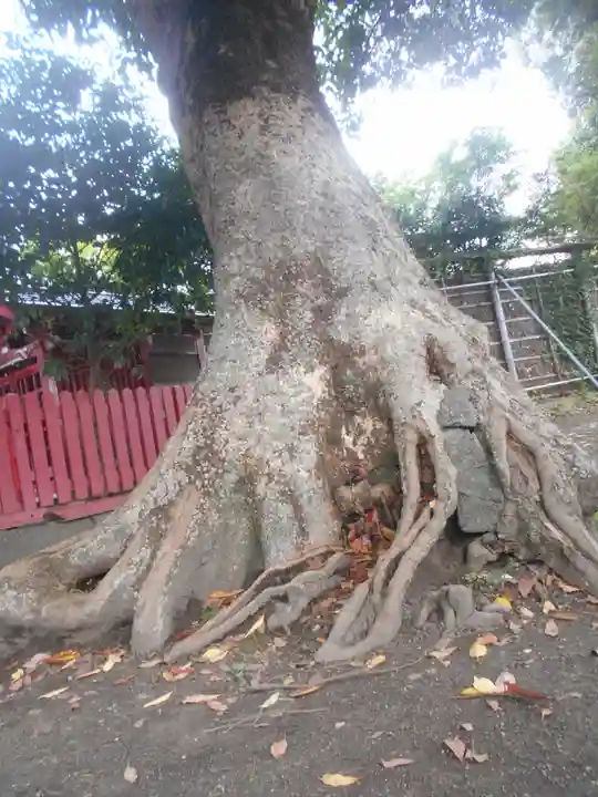 正一位稲荷大明神(築山稲荷社)の自然