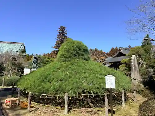 大聖寺（土浦大師不動尊）の{uncategorized: "未分類", other: "その他", undefined: "問題あり", building: "その他建物", grave: "お墓", sacred_gate: "鳥居", guardian: "狛犬", statue: "像", buddha: "仏像", history: "歴史", nature: "自然", garden: "庭園", animal: "動物", pagoda: "塔", temizu: "手水舎", mountain_gate: "山門・神門", sanctuary: "本殿・本堂", subordinate: "末社・摂社", art: "芸術", scenery: "景色", jizo: "地蔵", ema: "絵馬", goshuin: "御朱印", omikuji: "おみくじ", items: "授与品その他", amulet: "お守り", goshuincho: "御朱印帳", eats: "食事", festival: "お祭り", votive_dance: "神楽", shichigosan: "七五三参", wedding: "結婚式", experience: "体験その他", initially: "初詣", around: "周辺", anti_infection: "感染症対策"}