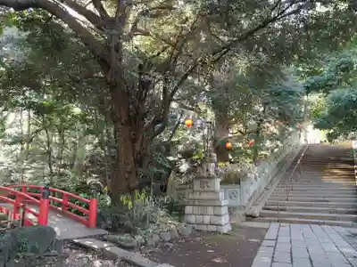 赤坂氷川神社(東京都)
