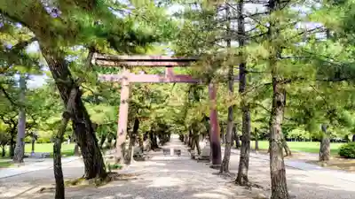 出雲大社(島根県)