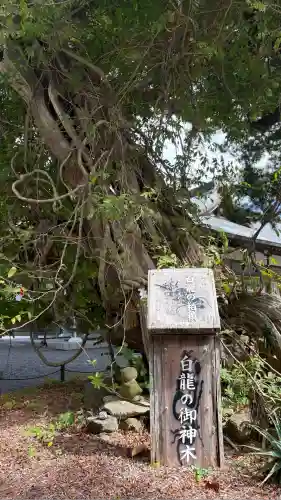 伊古奈比咩命神社の自然