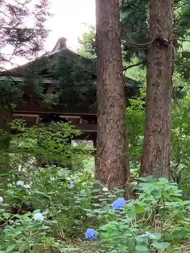 円満寺観音堂(岩手県)