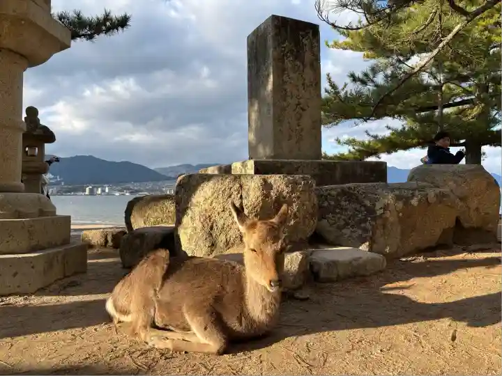 大願寺(広島県)