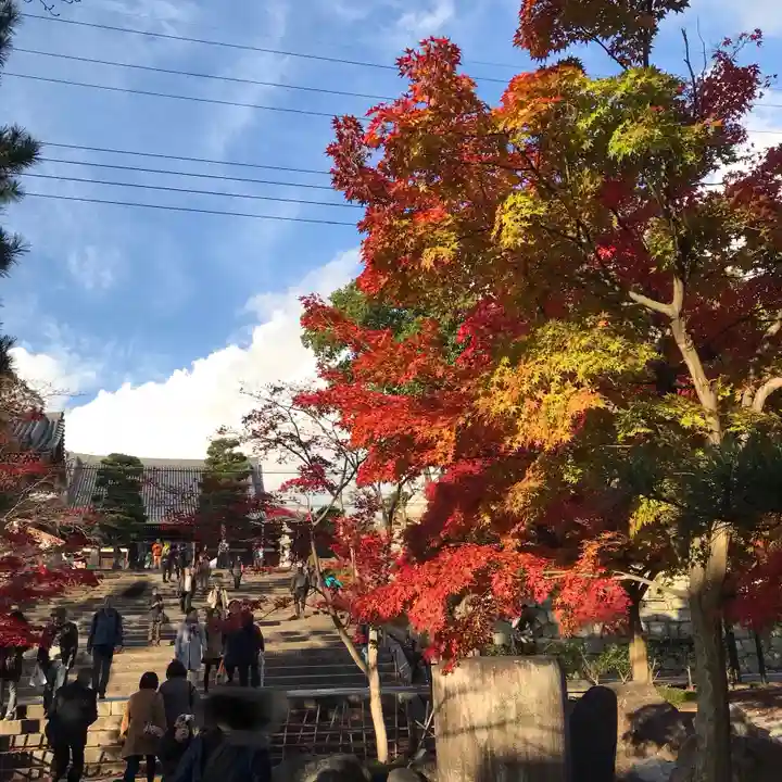 くろ谷 金戒光明寺の自然