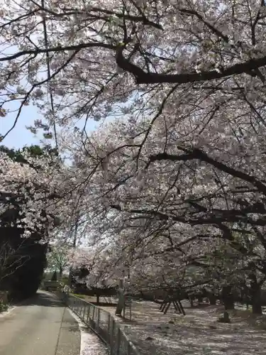東蕗田天満社の自然