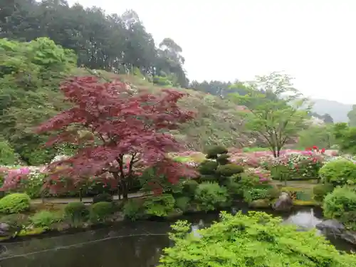 三室戸寺の庭園