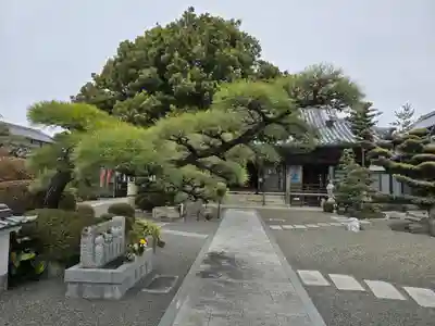 多聞寺(兵庫県)