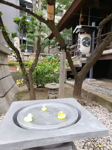 高円寺氷川神社の庭園