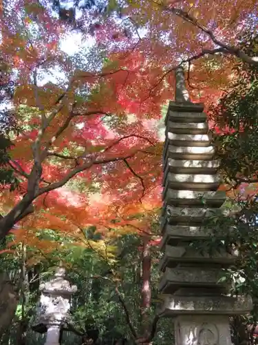 大正寺の塔