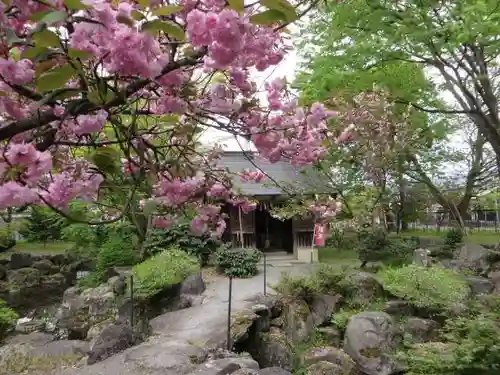 篠座神社(福井県)
