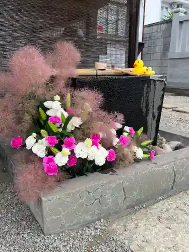 上尾御嶽神社の手水