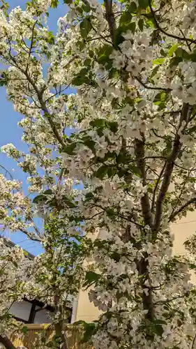 粟嶋堂宗徳寺の自然
