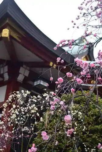 居木神社(東京都)
