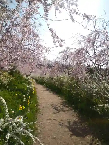 巳徳神社の周辺