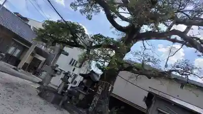 櫟谷七野神社(京都府)