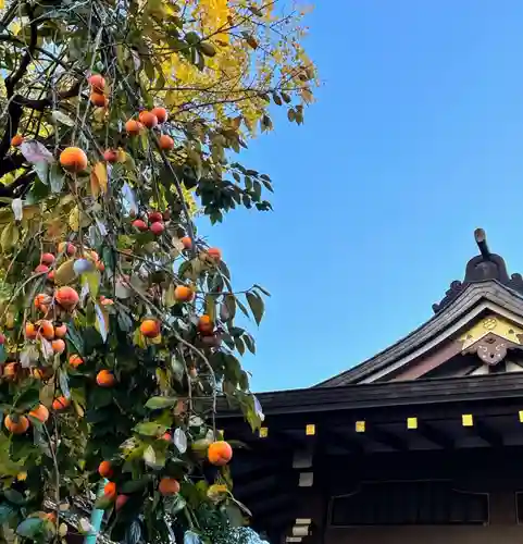 鳥越神社(東京都)