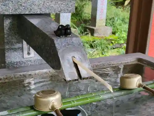 くまくま神社(導きの社 熊野町熊野神社)の手水舎