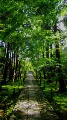 鹿王院のその他建物