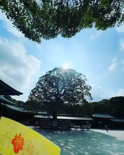 明治神宮(東京都)