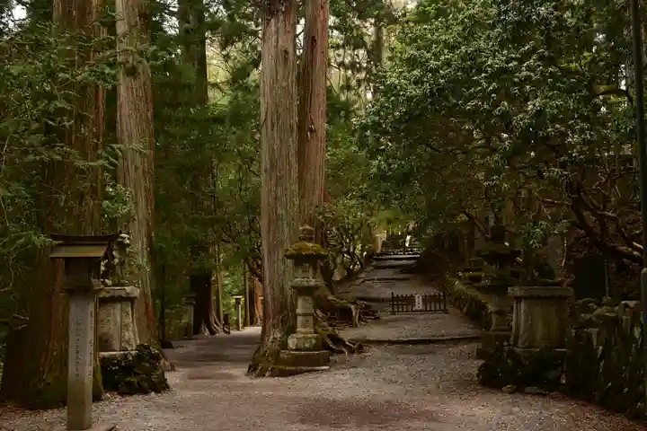 三峯神社(埼玉県)