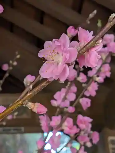 赤坂氷川神社(東京都)