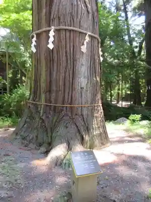 河口浅間神社のその他建物